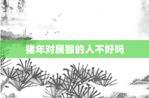 猪年对属猴的人不好吗