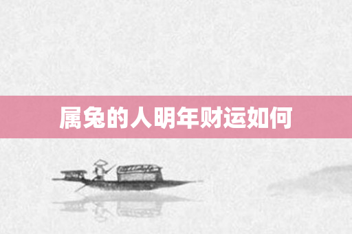 属兔的人明年财运如何