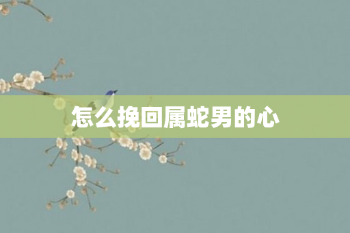 怎么挽回属蛇男的心