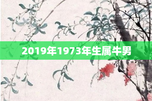 2019年1973年生属牛男