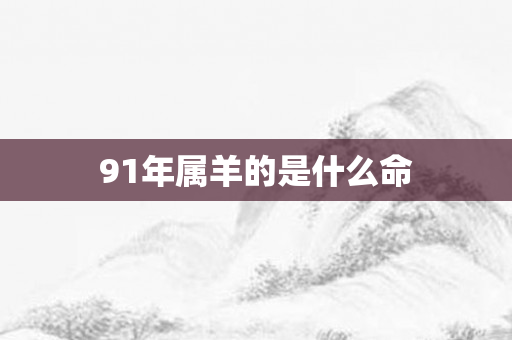 91年属羊的是什么命