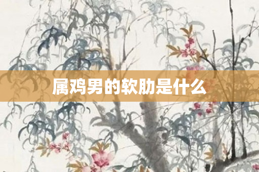 属鸡男的软肋是什么