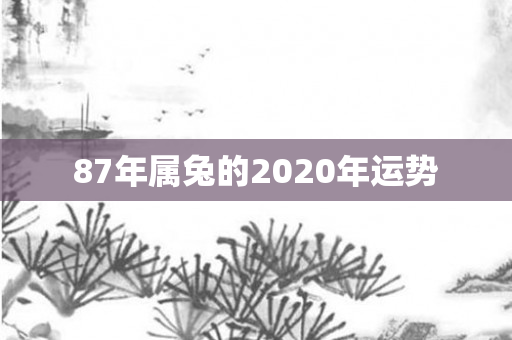 87年属兔的2020年运势
