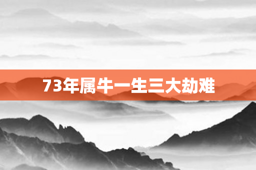 73年属牛一生三大劫难