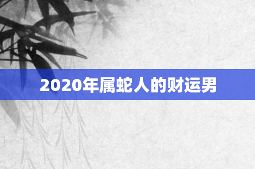 2020年属蛇人的财运男