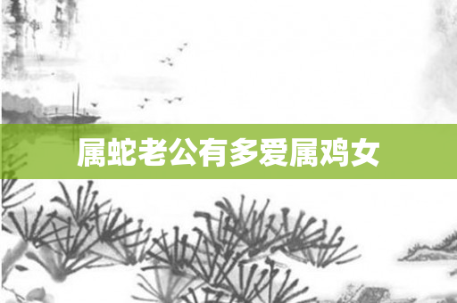 属蛇老公有多爱属鸡女