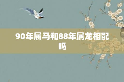 90年属马和88年属龙相配吗