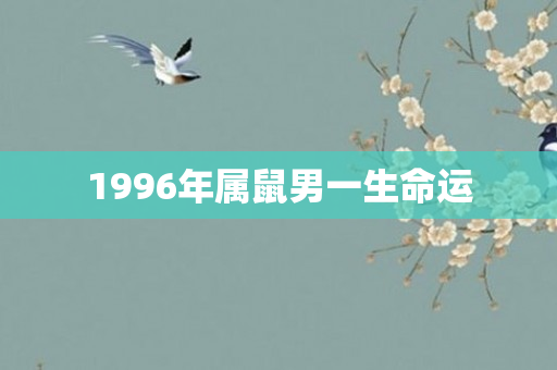 1996年属鼠男一生命运