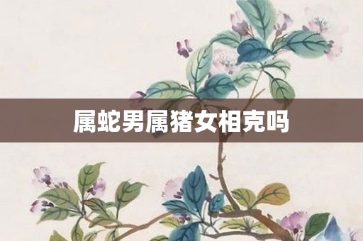 属蛇男属猪女相克吗