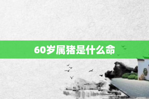 60岁属猪是什么命