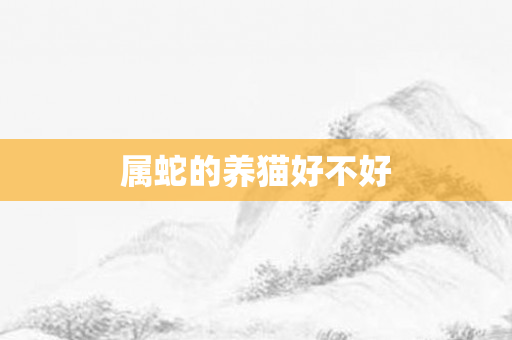 属蛇的养猫好不好