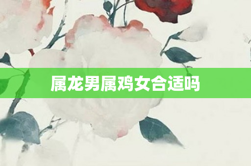 属龙男属鸡女合适吗
