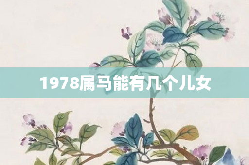 1978属马能有几个儿女
