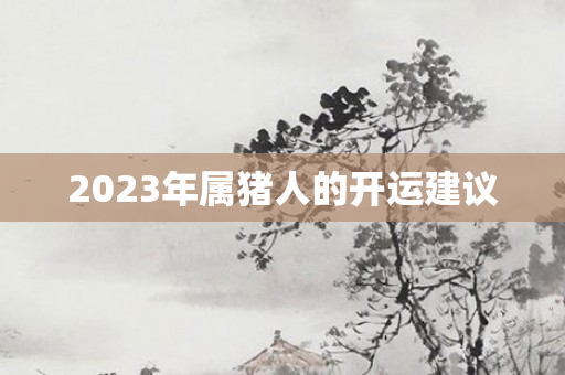2023年属猪人的开运建议