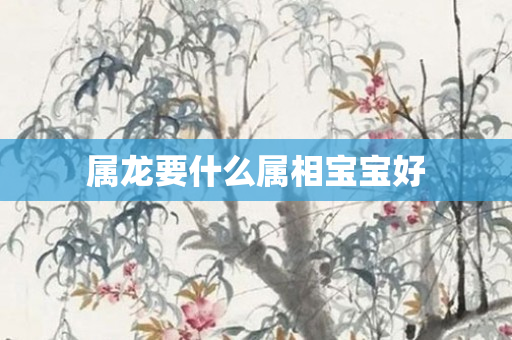 属龙要什么属相宝宝好