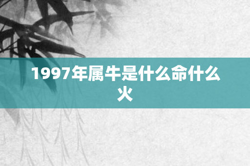 1997年属牛是什么命什么火