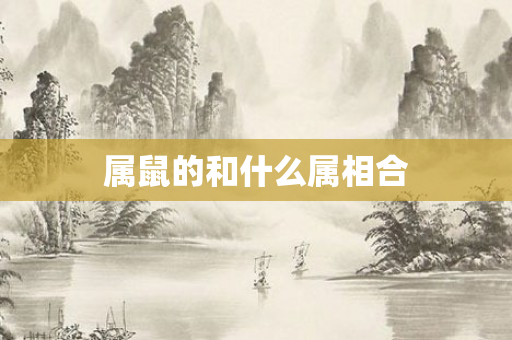 属鼠的和什么属相合