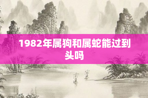1982年属狗和属蛇能过到头吗