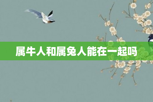 属牛人和属兔人能在一起吗