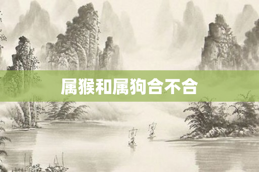 属猴和属狗合不合