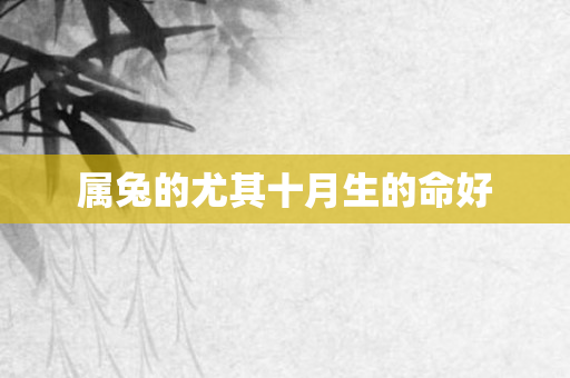 属兔的尤其十月生的命好