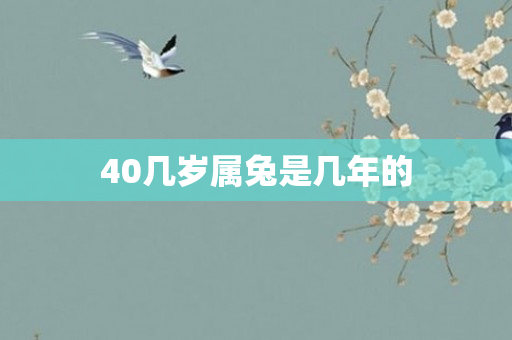 40几岁属兔是几年的
