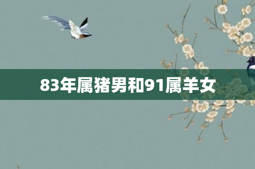 83年属猪男和91属羊女