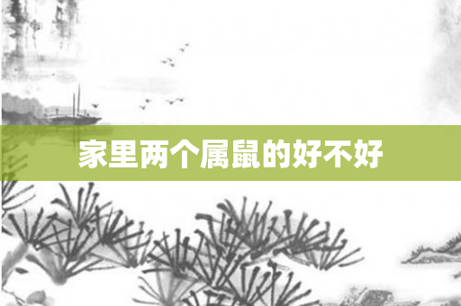 家里两个属鼠的好不好