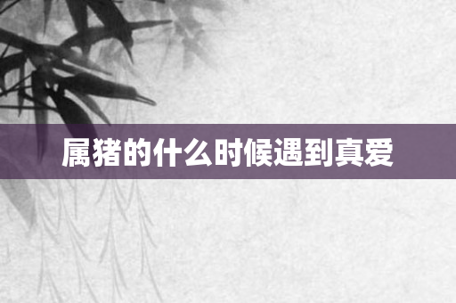 属猪的什么时候遇到真爱