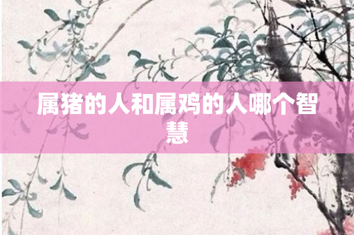 属猪的人和属鸡的人哪个智慧