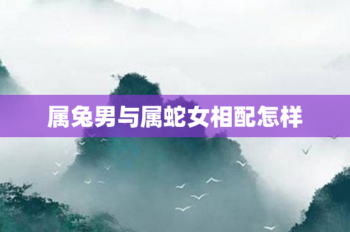 属兔男与属蛇女相配怎样