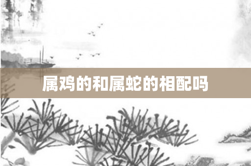 属鸡的和属蛇的相配吗