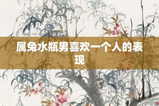 属兔水瓶男喜欢一个人的表现
