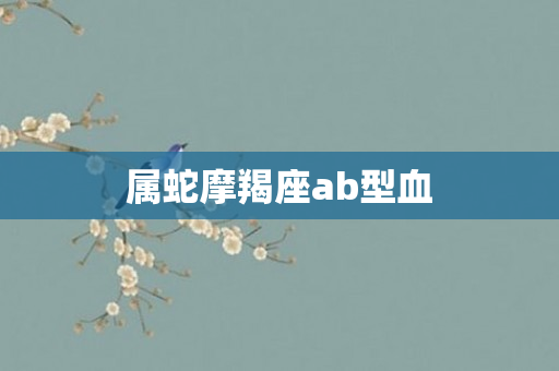 属蛇摩羯座ab型血