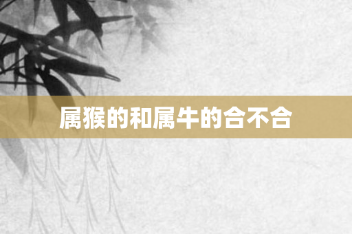 属猴的和属牛的合不合