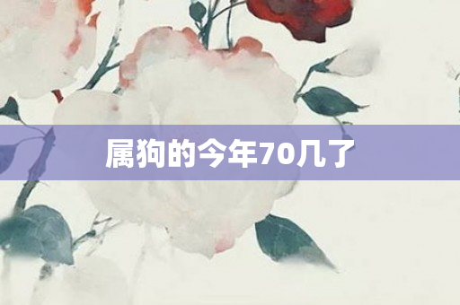 属狗的今年70几了