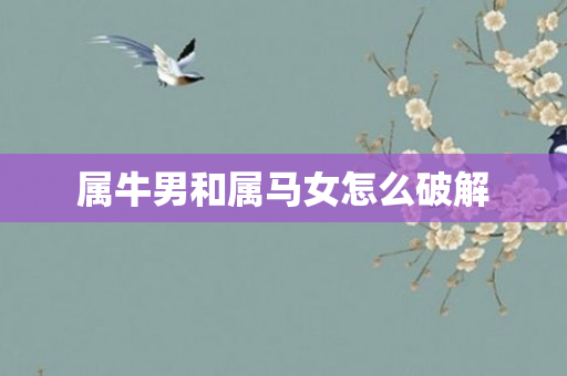 属牛男和属马女怎么破解