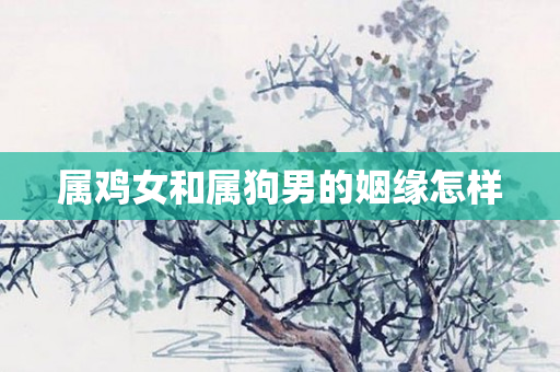 属鸡女和属狗男的姻缘怎样