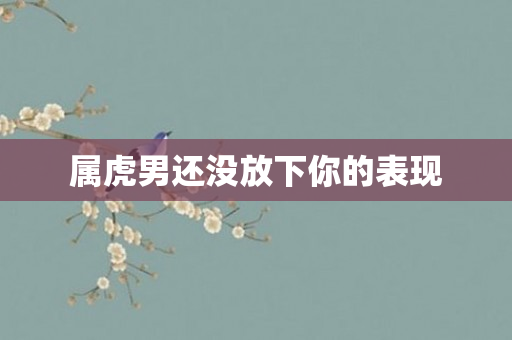 属虎男还没放下你的表现