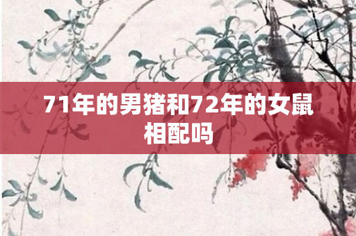 71年的男猪和72年的女鼠相配吗