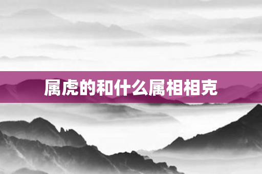 属虎的和什么属相相克