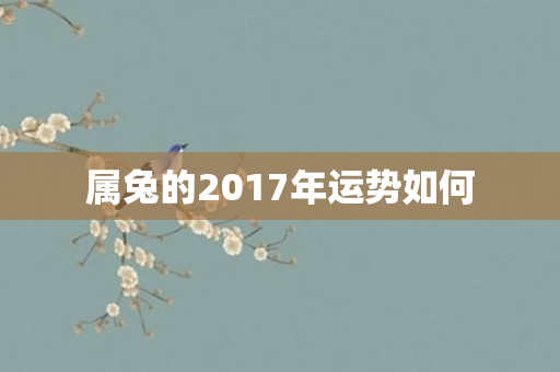 属兔的2017年运势如何