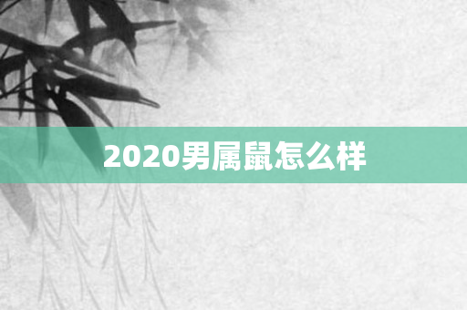 2020男属鼠怎么样