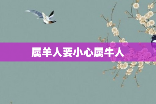 属羊人要小心属牛人