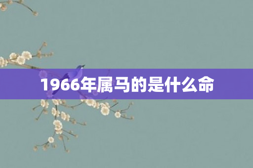 1966年属马的是什么命