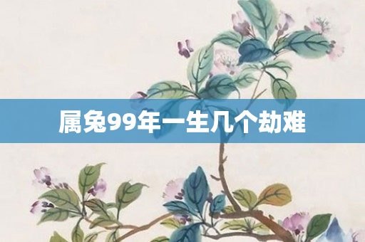 属兔99年一生几个劫难