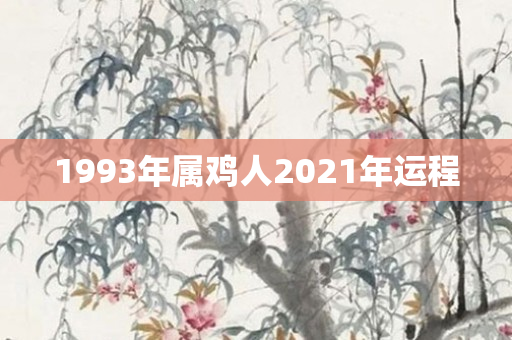 1993年属鸡人2021年运程