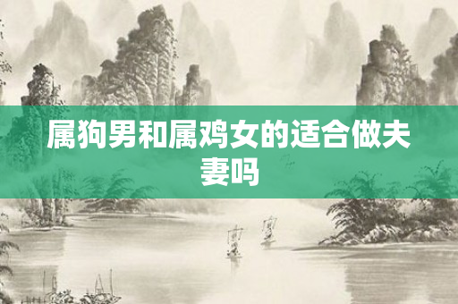 属狗男和属鸡女的适合做夫妻吗