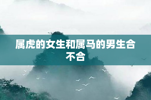 属虎的女生和属马的男生合不合