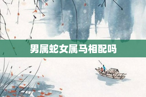 男属蛇女属马相配吗